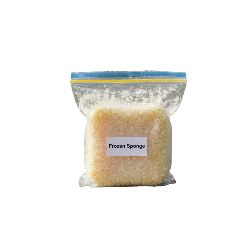 Frozen Sponge in a Ziplock Bag